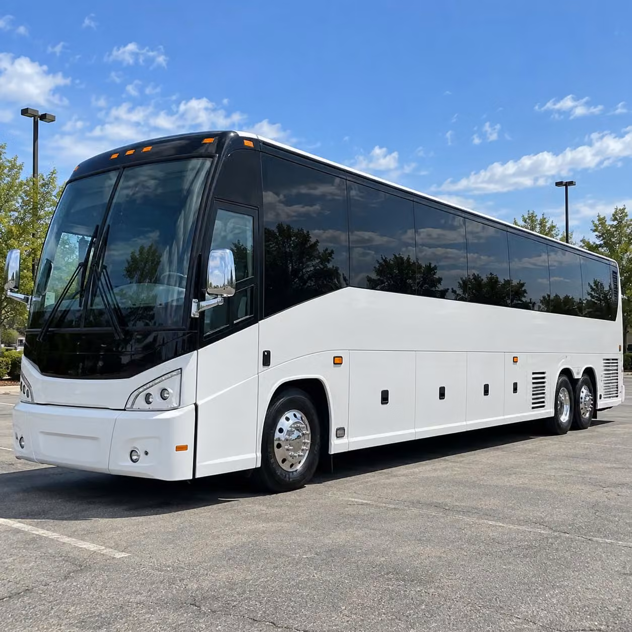 bridal party transportation to palm beach gardens most beautiful wedding venues